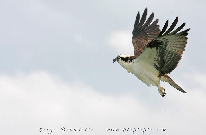 2009-01-07 15-38-05__MG_1148.JPG